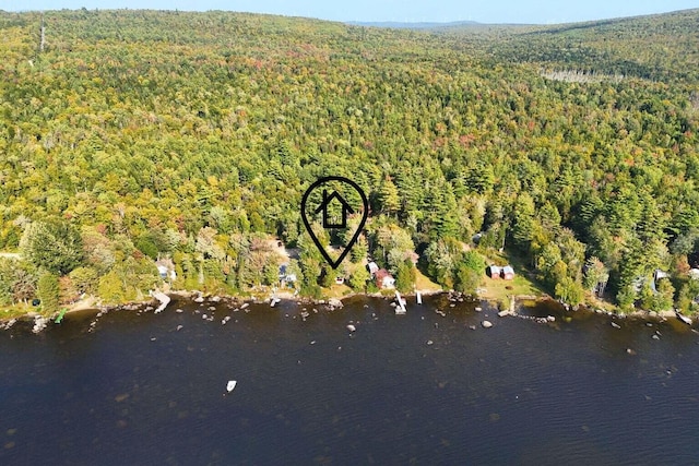 567 Phinney Farm Rd, Lincoln, ME 04457 - aerial view of property's location with a forest and a nearby body of water