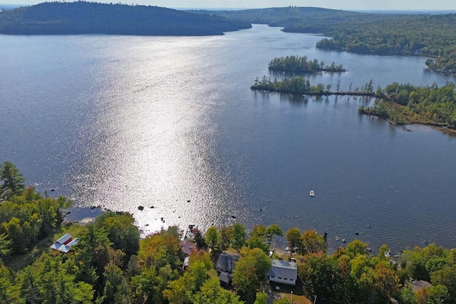 567 Phinney Farm Rd, Lincoln, ME 04457 - aerial view of a large body of water and a forest