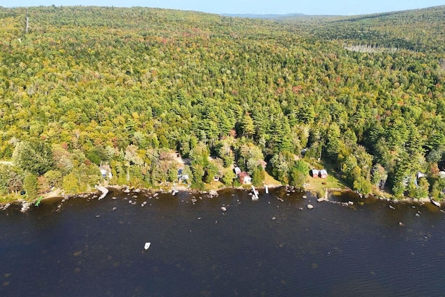 567 Phinney Farm Rd, Lincoln, ME 04457 - aerial overview of property's location featuring a heavily wooded area and a large body of water