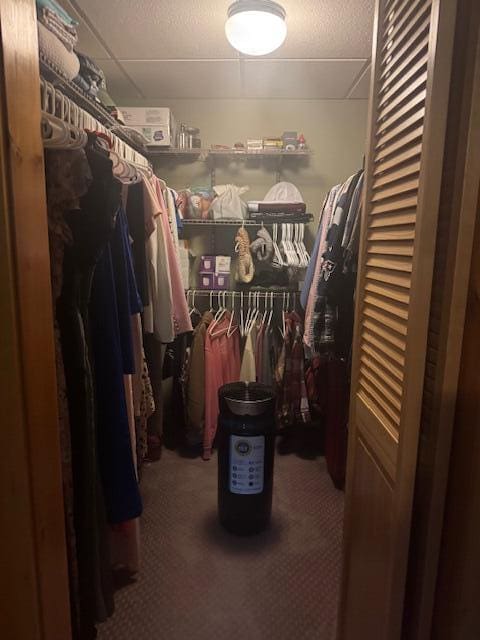 20 Oak Ridge Dr, Chelsea, ME 04330 - walk in closet with carpet