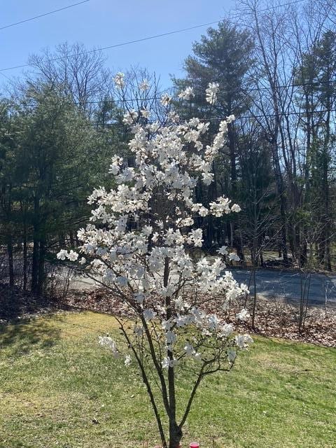 20 Oak Ridge Dr, Chelsea, ME 04330 - view of grassy yard