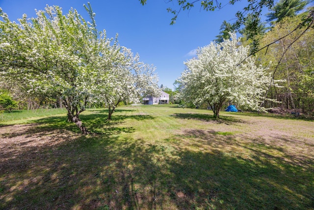 25 Fairview Dr, Sanford, ME 04073 - photo 12