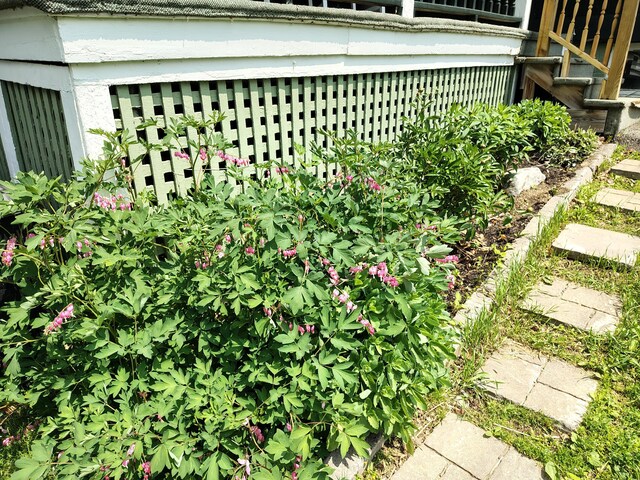 47 High St, Houlton, ME 04730 - photo 33
