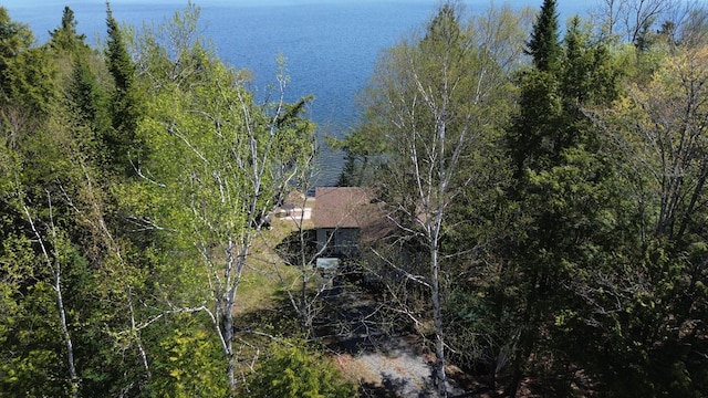 view of subject property featuring a large body of water and a forest