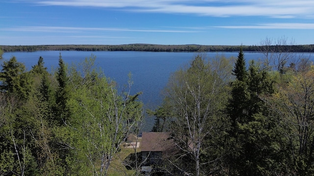 water view with a heavily wooded area