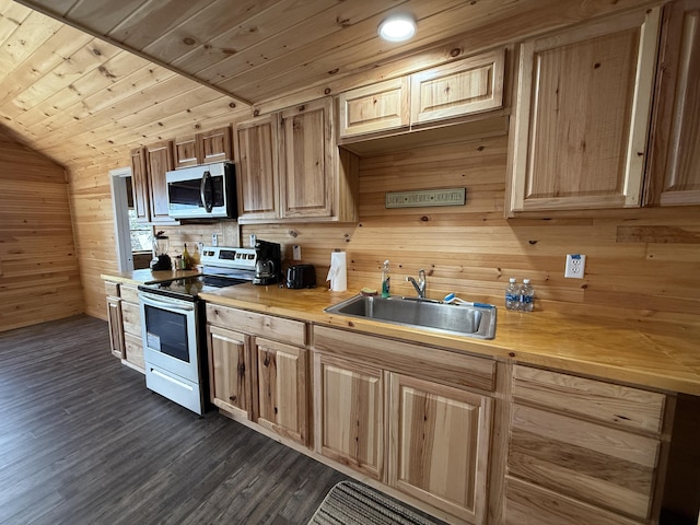 kitchen with appliances with stainless steel finishes, a sink, dark wood-style floors, light brown cabinets, and wooden walls