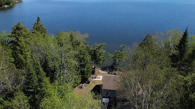 view from above of property featuring a large body of water and a forest