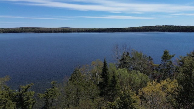 water view with a forest