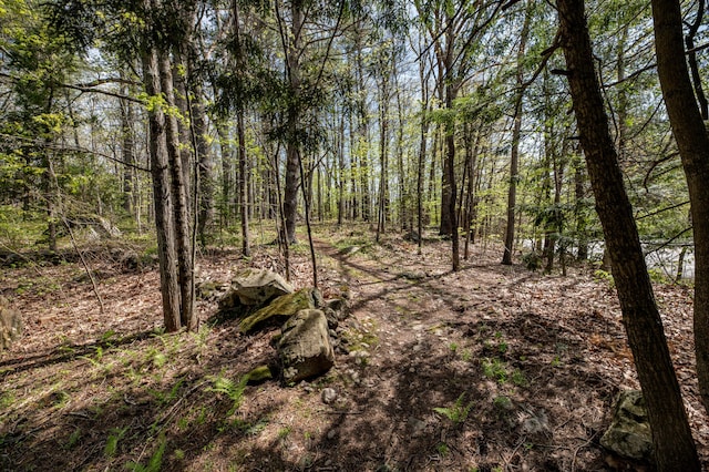 626 Wiscasset Rd, Pittston, ME 04345 - view of woods