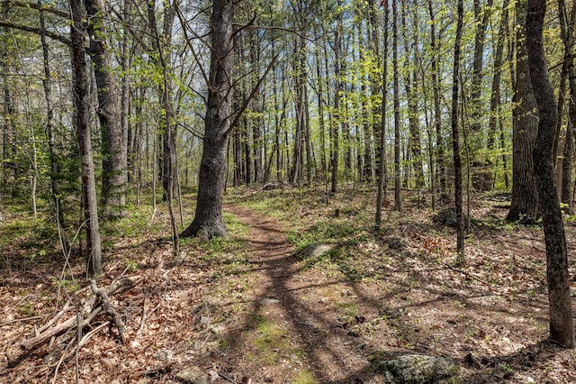 626 Wiscasset Rd, Pittston, ME 04345 - view of tree filled area