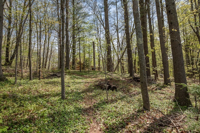 626 Wiscasset Rd, Pittston, ME 04345 - view of wooded area