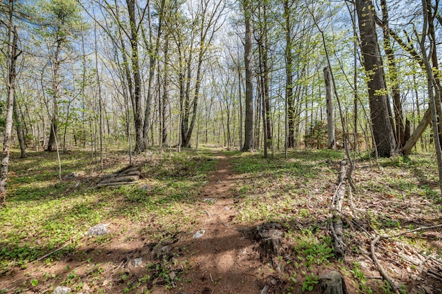 626 Wiscasset Rd, Pittston, ME 04345 - view of wooded area