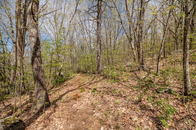 626 Wiscasset Rd, Pittston, ME 04345 - view of tree filled area
