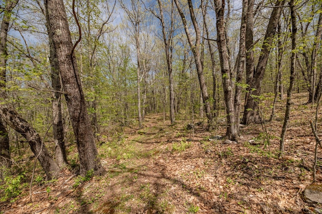 626 Wiscasset Rd, Pittston, ME 04345 - view of tree filled area