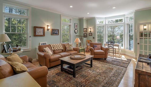 living area featuring baseboards, crown molding, recessed lighting, and wood-type flooring