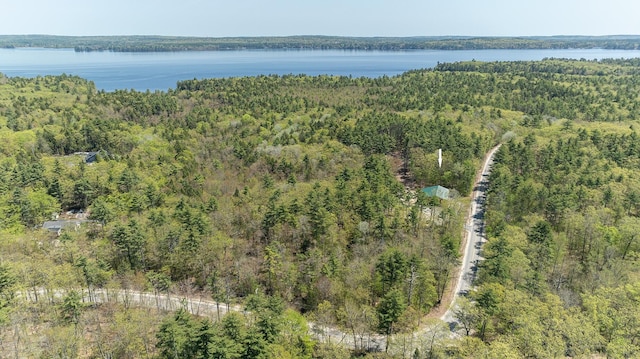 view of property location with a heavily wooded area and a nearby body of water