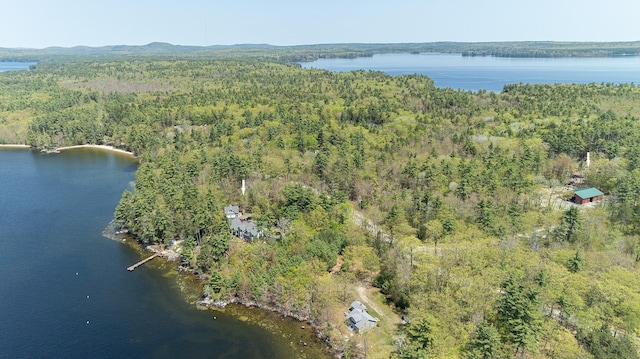 view of property location with a heavily wooded area and a nearby body of water