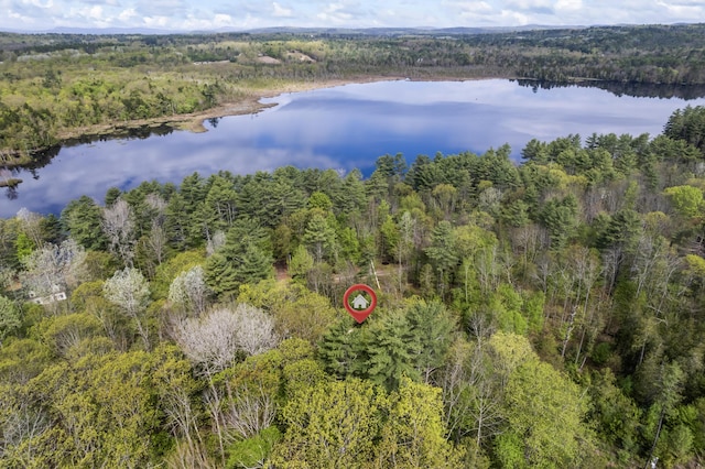 23 Woodland Rd, Winthrop, ME 04364 - aerial view of a heavily wooded area and a large body of water