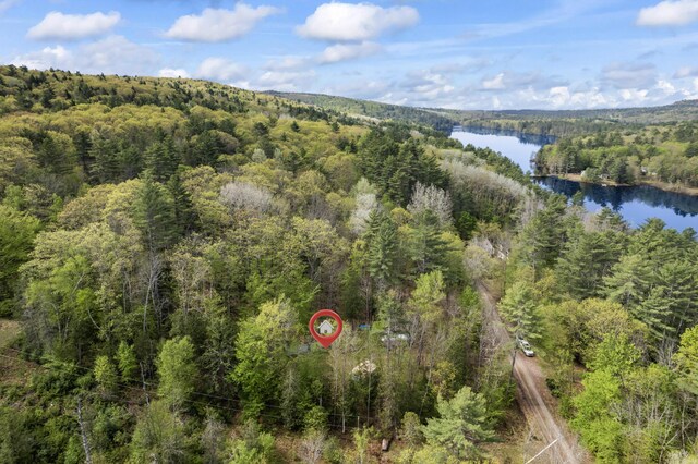 23 Woodland Rd, Winthrop, ME 04364 - aerial view of a forest and a nearby body of water