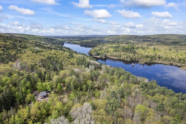 23 Woodland Rd, Winthrop, ME 04364 - view of property location featuring a heavily wooded area and a large body of water