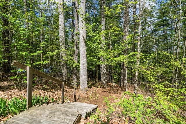23 Woodland Rd, Winthrop, ME 04364 - view of woods