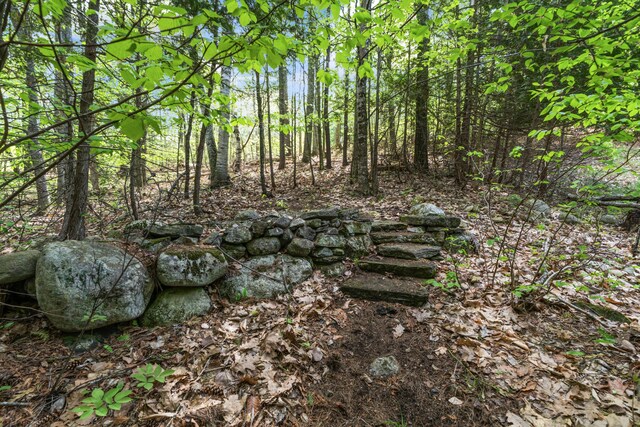 23 Woodland Rd, Winthrop, ME 04364 - view of wooded area