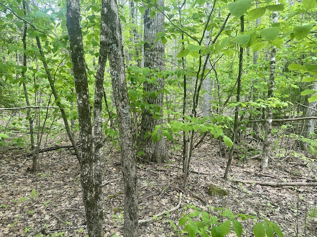 LOT15 Greenacre Rd, Lincolnville, ME 04849