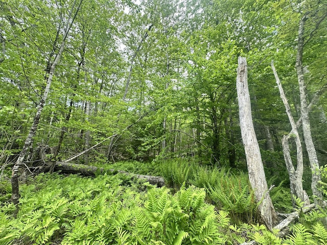 LOT15 Greenacre Rd, Lincolnville, ME 04849