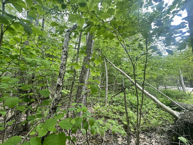 LOT15 Greenacre Rd, Lincolnville, ME 04849
