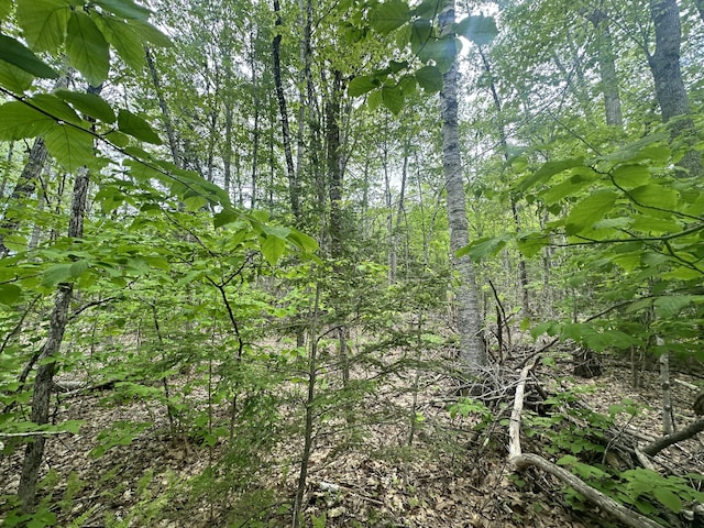 LOT15 Greenacre Rd, Lincolnville, ME 04849