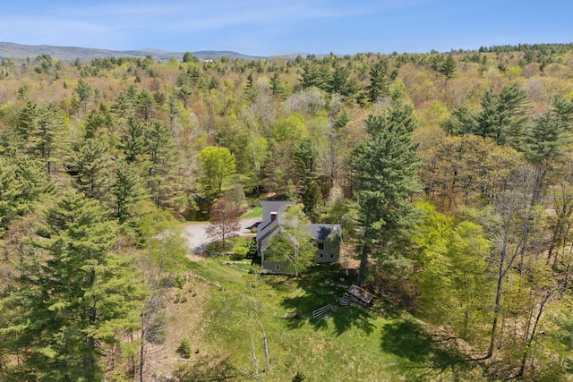 248 Morse Rd, Norway, ME 04268 - view of subject property featuring a forest