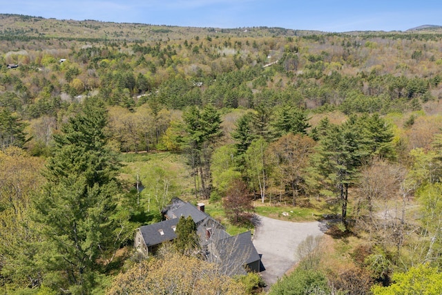 248 Morse Rd, Norway, ME 04268 - aerial view of property and surrounding area with a forest