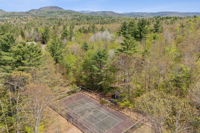 248 Morse Rd, Norway, ME 04268 - aerial view of a heavily wooded area and a mountain backdrop