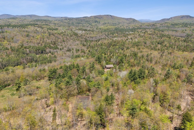 248 Morse Rd, Norway, ME 04268 - mountain view with a forest