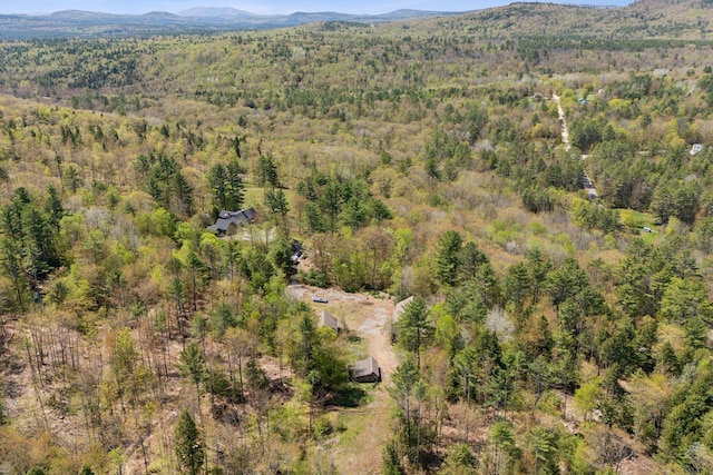 248 Morse Rd, Norway, ME 04268 - drone / aerial view of a forest and a mountainous background