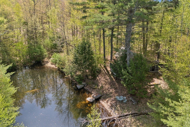 248 Morse Rd, Norway, ME 04268 - view of woods