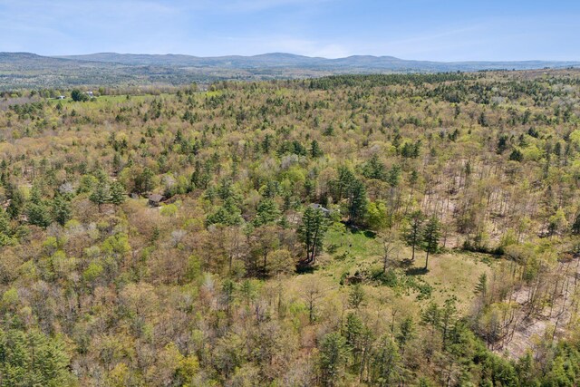 248 Morse Rd, Norway, ME 04268 - view of mountain background with a heavily wooded area