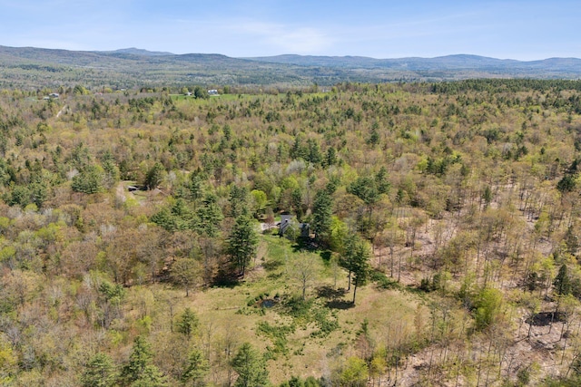248 Morse Rd, Norway, ME 04268 - mountain view with a forest