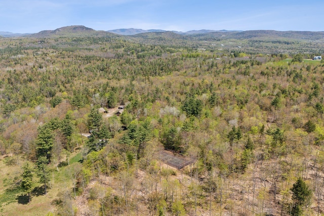 248 Morse Rd, Norway, ME 04268 - mountain view featuring a forest