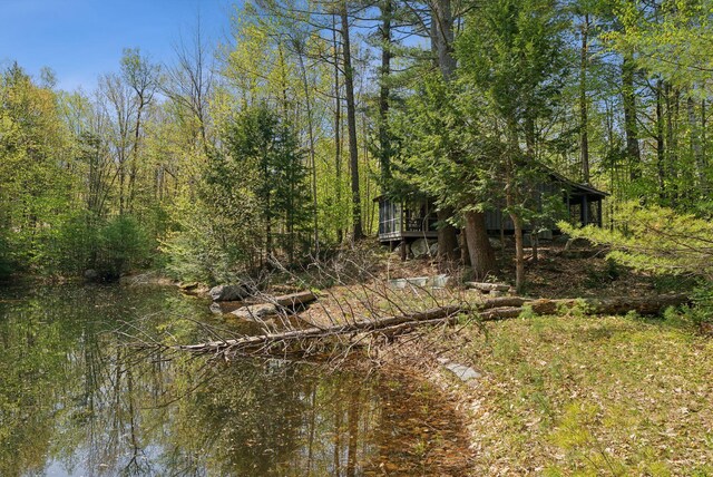 248 Morse Rd, Norway, ME 04268 - view of tree filled area