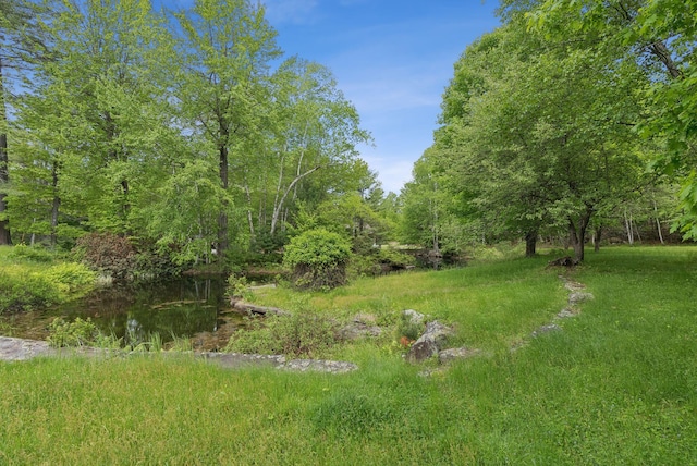 248 Morse Rd, Norway, ME 04268 - view of yard featuring a view of trees