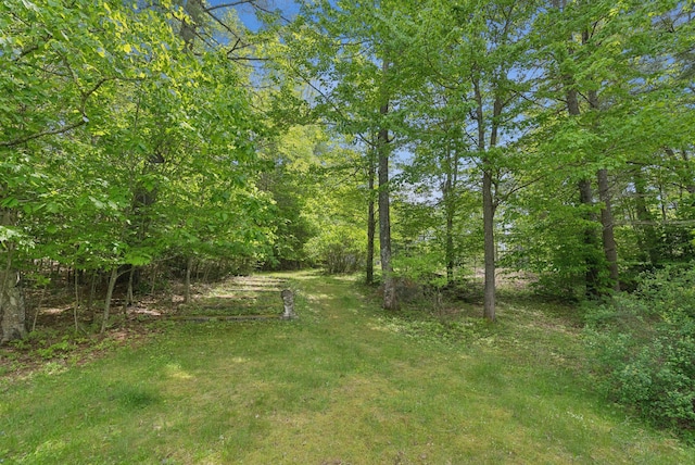 248 Morse Rd, Norway, ME 04268 - view of yard