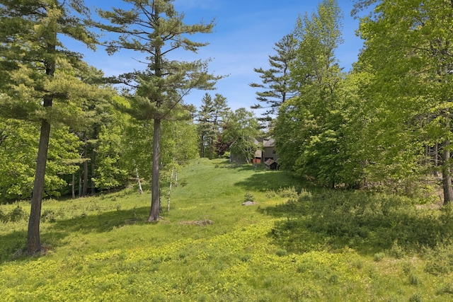 248 Morse Rd, Norway, ME 04268 - view of yard with a view of trees