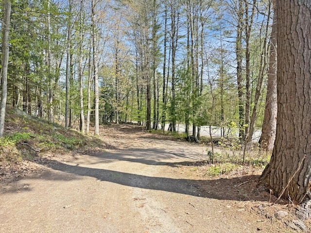 34 Veterans St, Peru, ME 04290 - view of street featuring a forest view