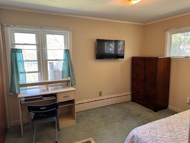50 Hillside St, Presque Isle, ME 04769 - photo 44