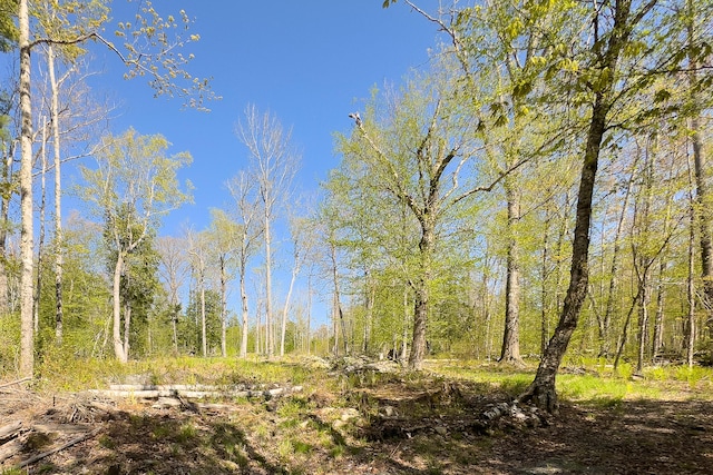 LOT1E Dunn Rd, Belgrade, ME 04917