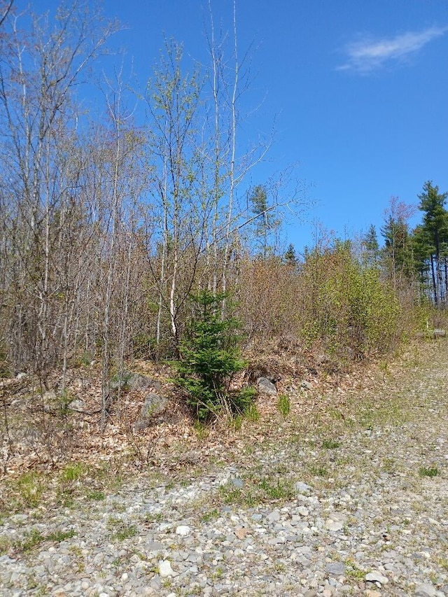 40 Eleanor Mae Rd, Deblois, ME 04622