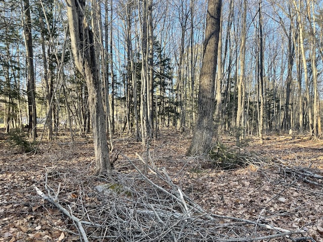 0 Cross St, Manchester, ME 04351 - photo 30