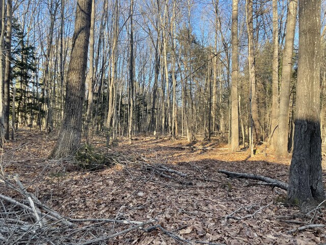 0 Cross St, Manchester, ME 04351 - photo 31