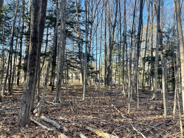 0 Cross St, Manchester, ME 04351 - photo 33
